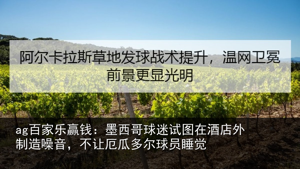 ag百家乐赢钱:墨西哥球迷试图相关情况,不让厄瓜多尔球员睡觉