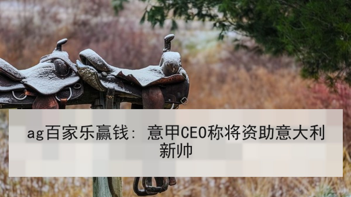 ag百家乐赢钱: 意甲CEO称将资助意大利新帅