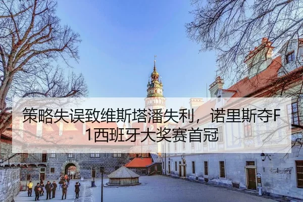 ce-lve-shi-wu-zhi-wei-si-ta-pan-shi-li-nuo-li-si-duo-xi-ban-ya-da-jiang-sai-shou-guan-3-901.jpg