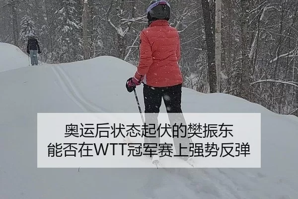 奥运后状态起伏的樊振东 能否在WTT冠军赛上强势反弹